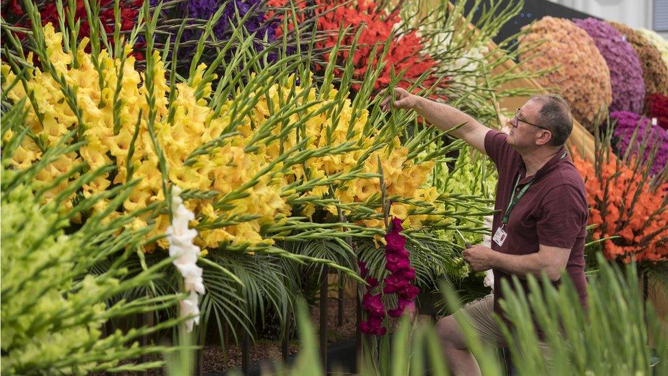 Worker preparing flower display