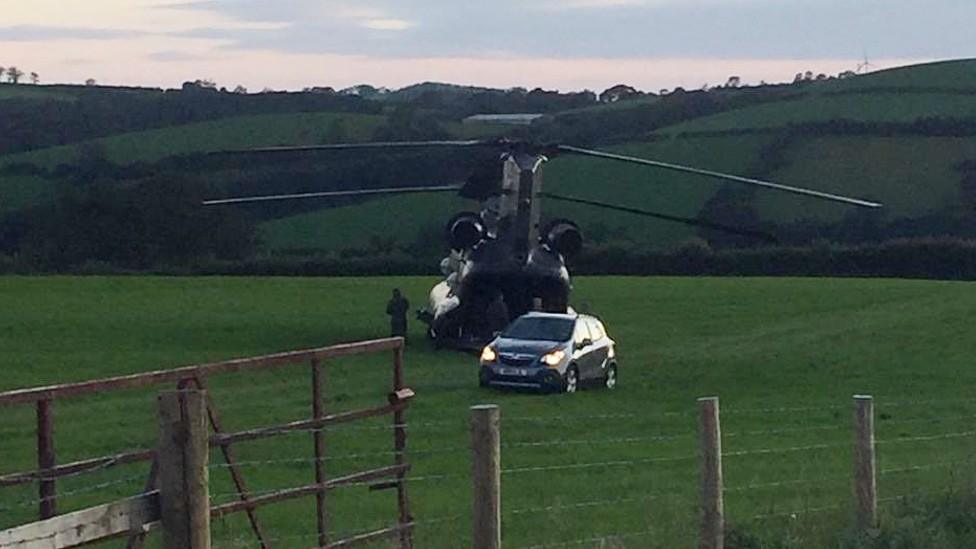 Chinook in field