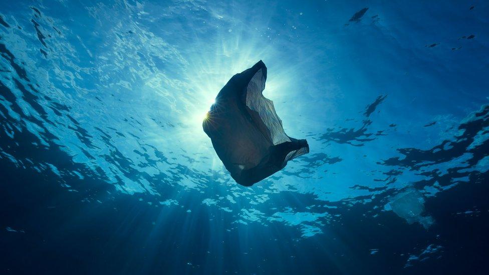 Plastic bag floats in the ocean