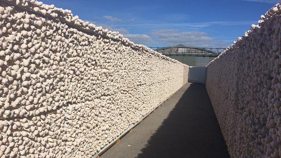 Shrouds of the Somme