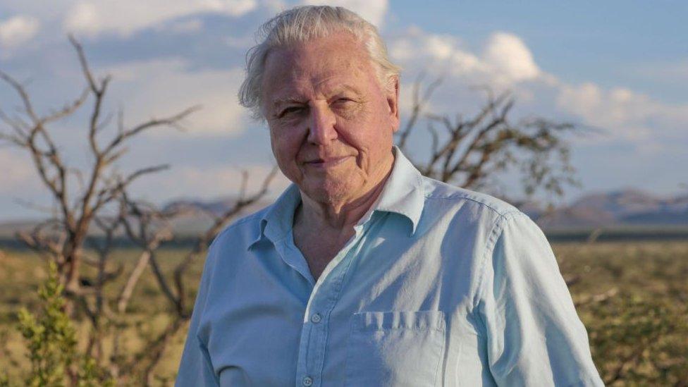 David Attenborough