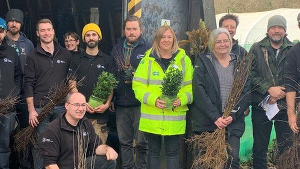 Group of people who have been packing trees