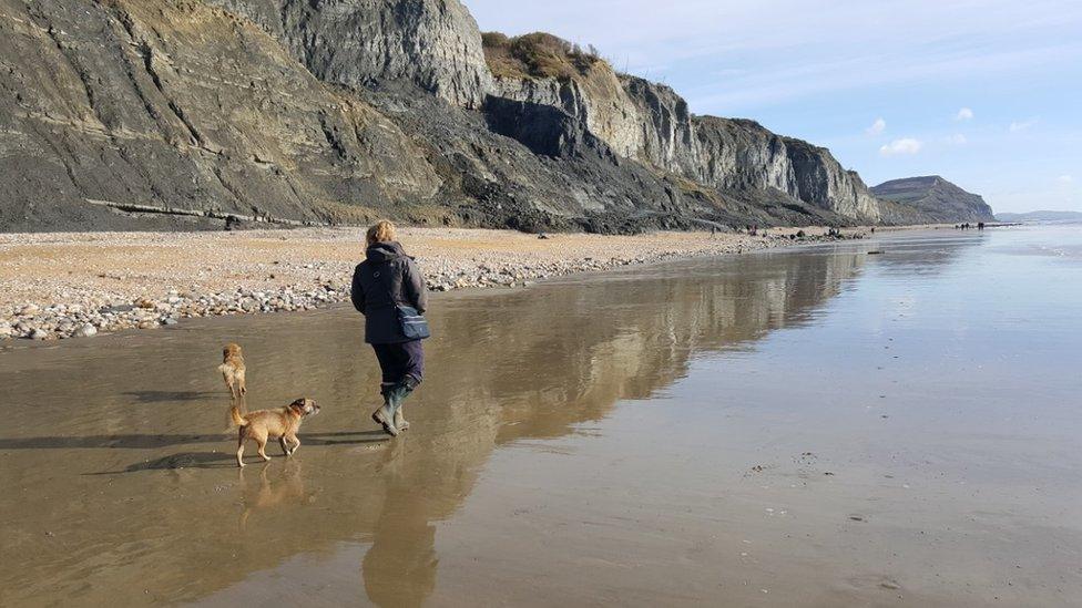 Helen and her dogs