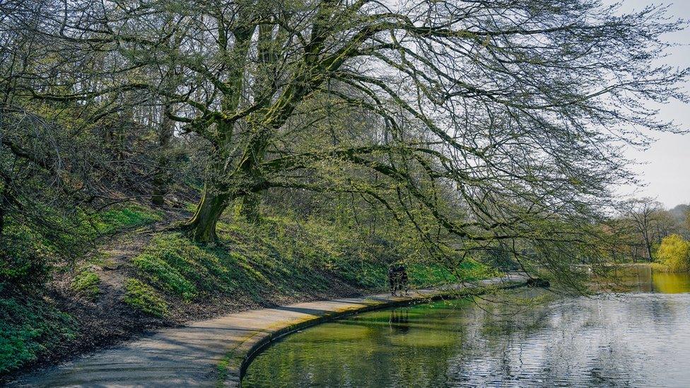 Trees and a path next to a body of water in Eastville Park in Bristol