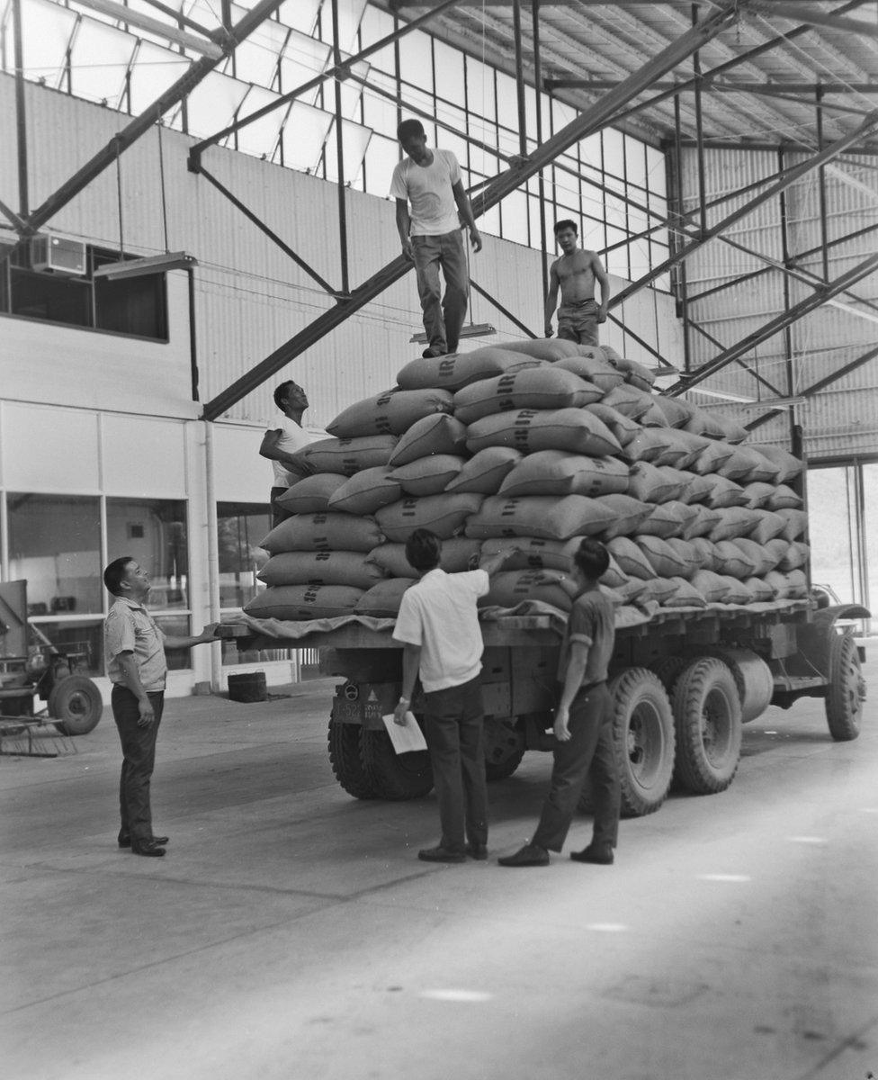 Bags of IR8 rice ready for distribution