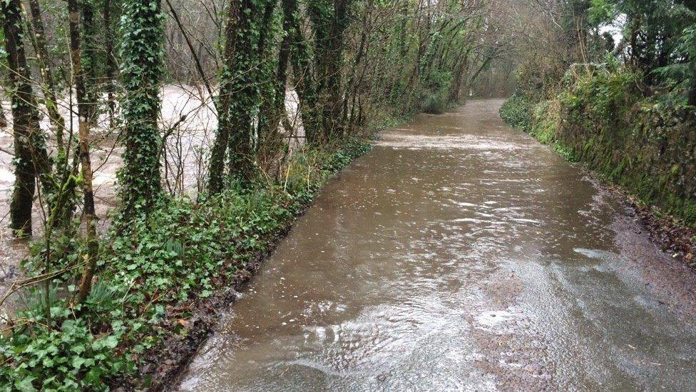 The River Dart overflowing with water