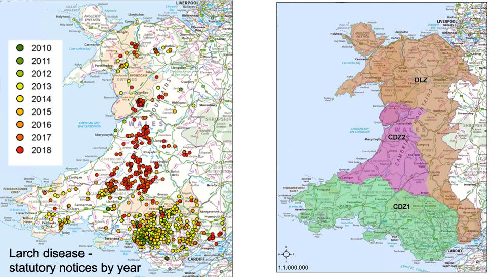 Maps of larch disease