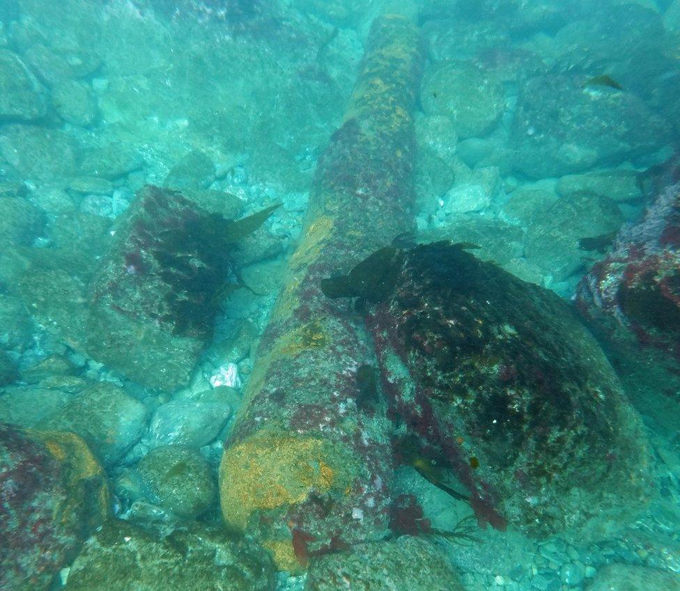 Cannon underwater