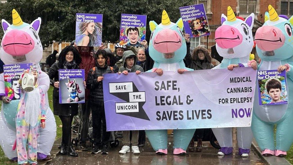 The protesters outside Parliament