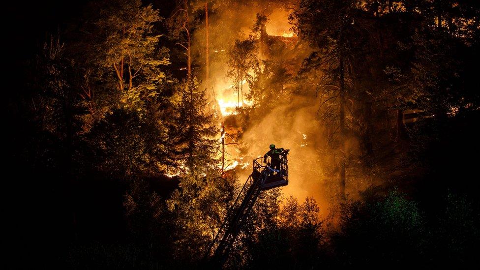 Firefighters tried to protect the village of Hrensko from the spread of the fire on Tuesday