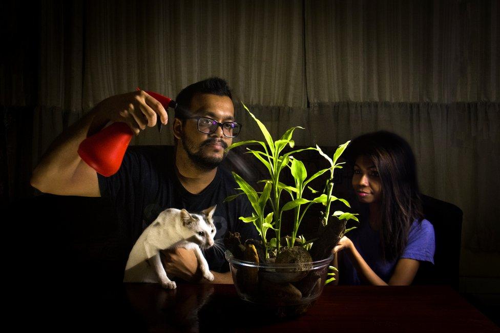 A man and a woman spraying a plant whilst holding a cat