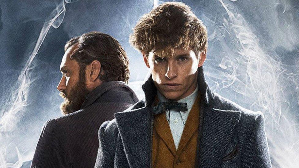 Newt Scamander and Albus Dumbledore