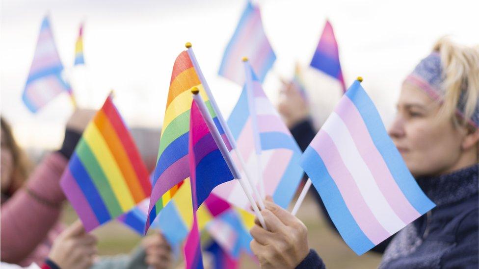 Rainbow and trans flags