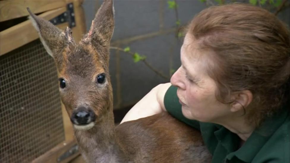 Linda Bass and deer