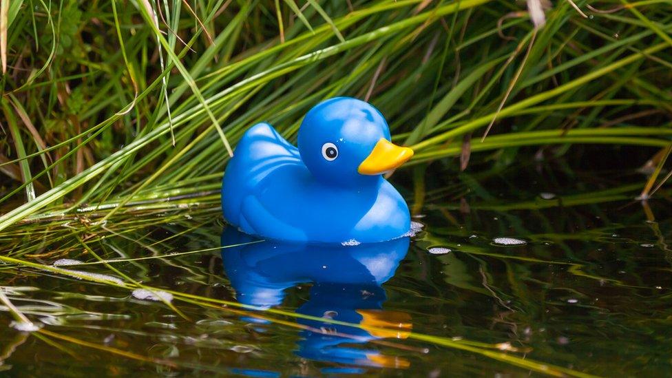 Blue rubber duck