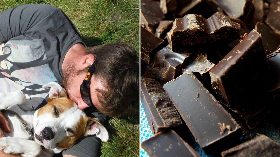 E-cigarettes poison 100 pets, as vets reveal list of danger items
