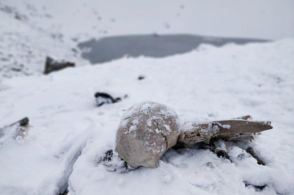 Naturally preserved ancient human skeletons under snow found beside high altitude alpine Roopkund lake in Indian Himalayas.