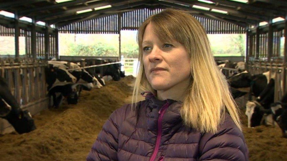 Vet Gwen Rees in a cow barn