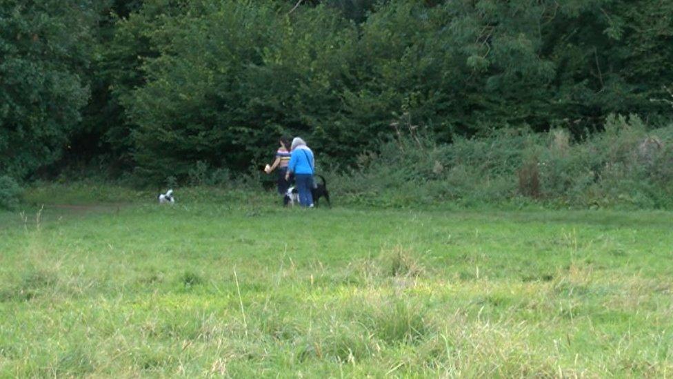 People walking in the woods