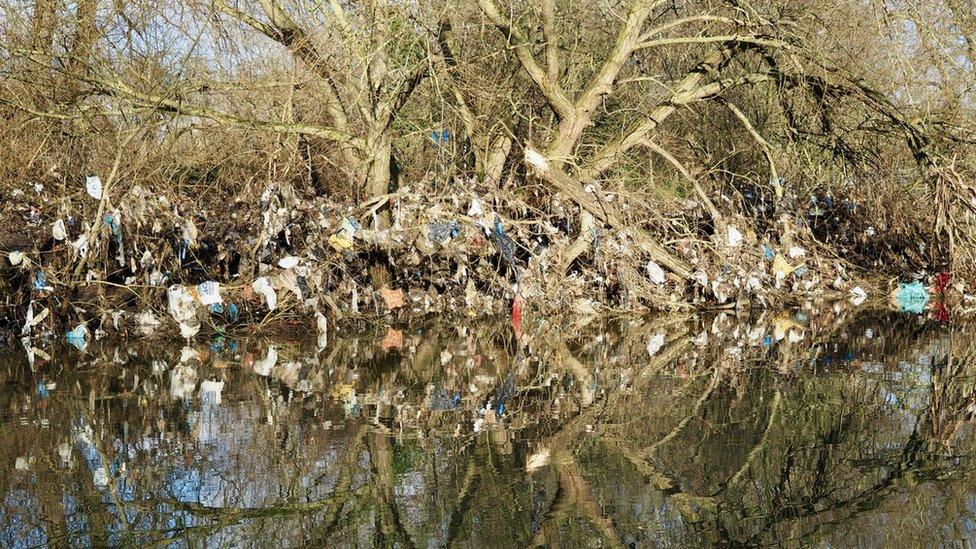 Rubbish by River Soar