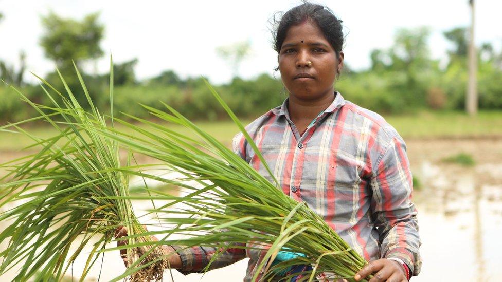 Sheuli Hazda stands in a paddy field in Phulbari