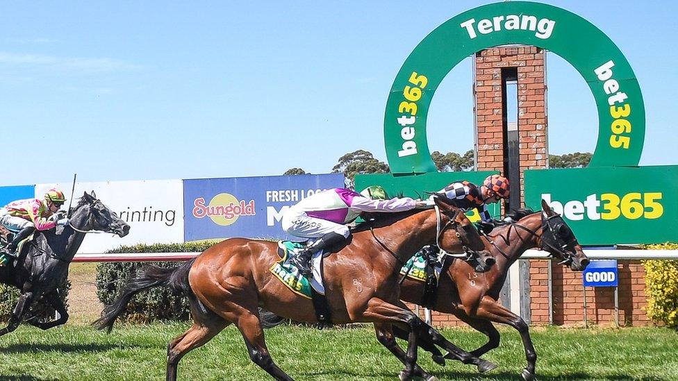 Bet365 Protest Promise 3YO Maiden Plate in Terang, Australia.