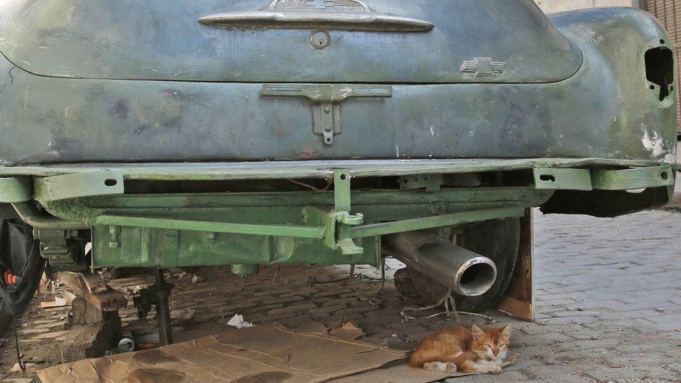 A cat sits under a car in Old Havana, Cuba