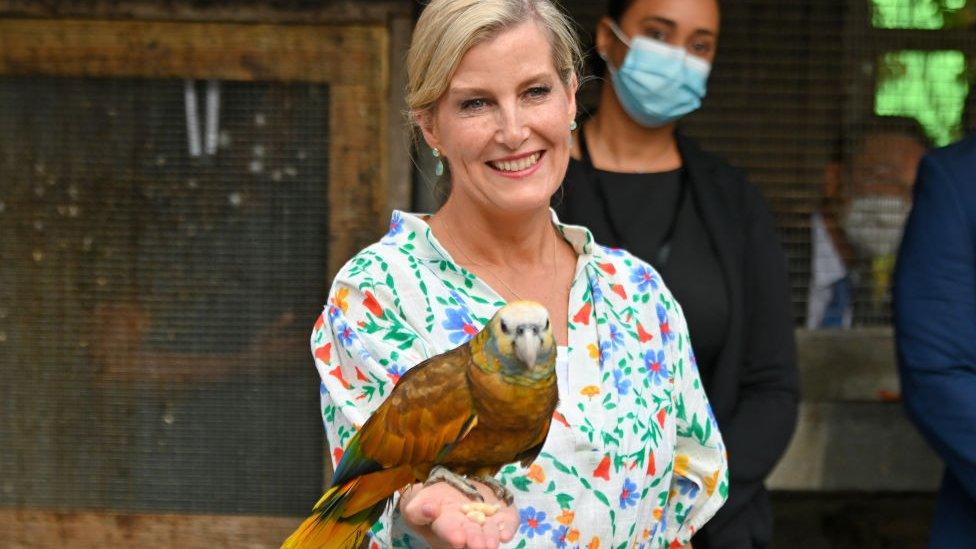 Sophie, Countess of Wessex handles a parrot at The Botanical Gardens on April 23, 2022 in Kingstown, Saint Vincent and The Grenadines