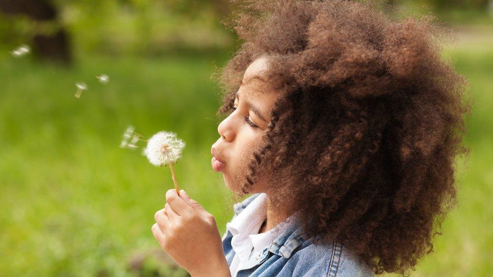 A girl blowing a dandelion