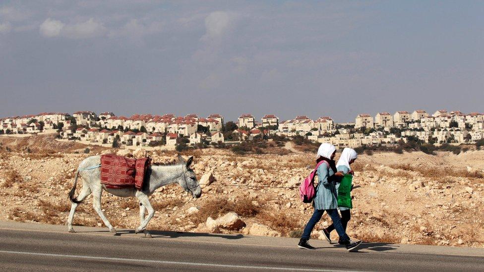 Palestinian schoolgirls walk with a donkey as the West Bank Jewish settlement of Maale Adumim, near Jerusalem, is seen in the background on 13 November 2013