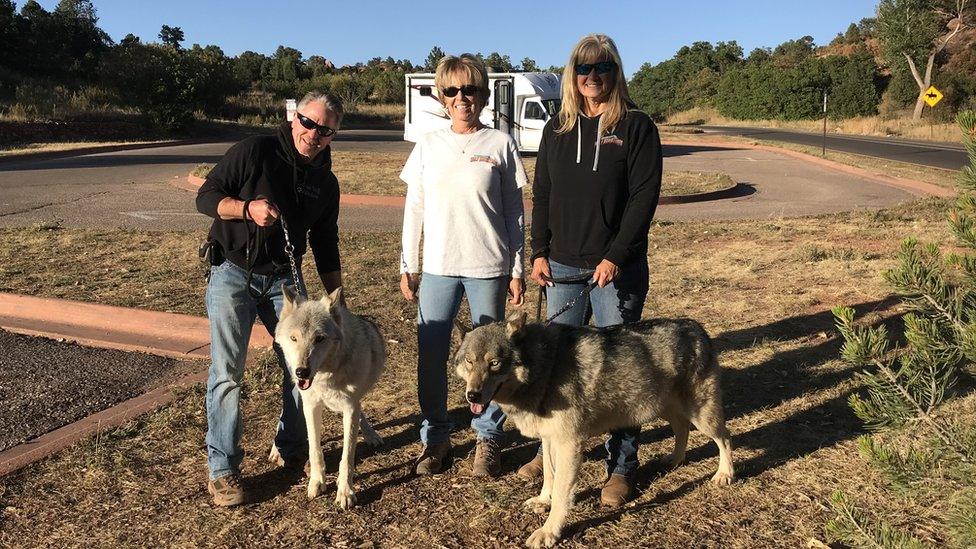 Three people and two wolf dogs