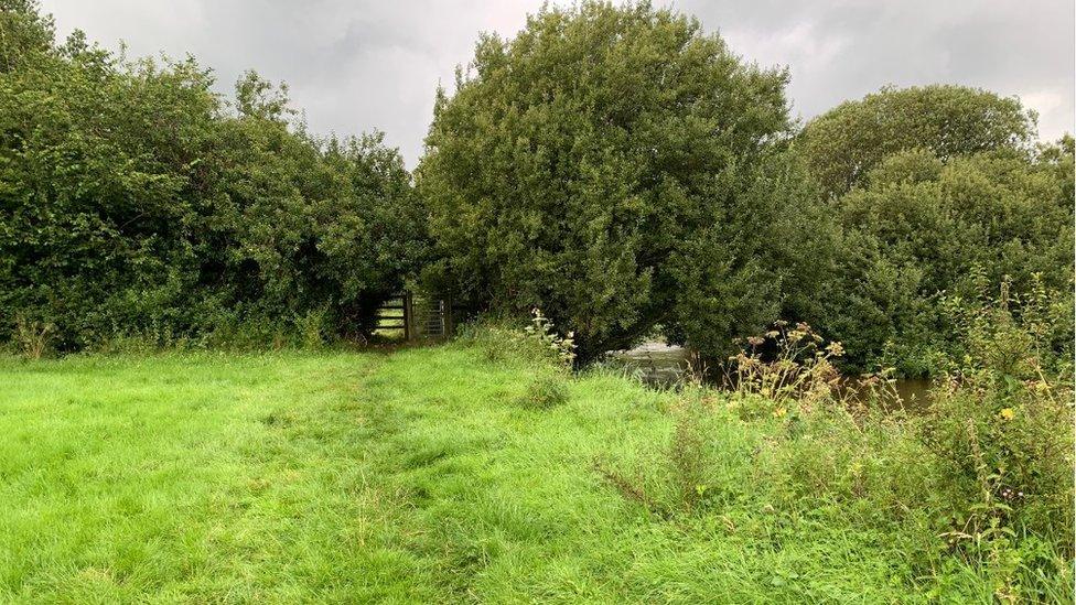 Ardal yr ymosodiad honedig yn Llanbedr Pont Steffan