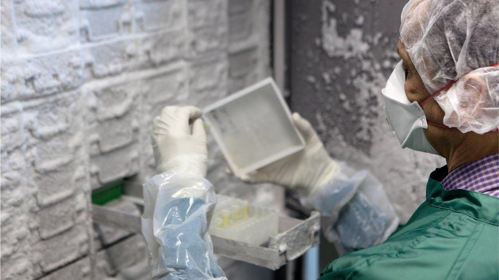 Researcher in a laboratory controls stem cell samples in a Thermo Scientific freezer