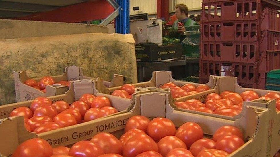 Boxes of tomatoes