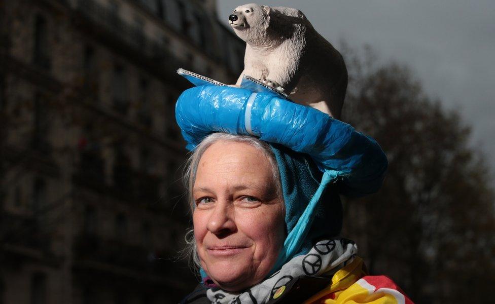 A protester from Germany wears a head dress featuring a polar bear during a climate change rally on November 29, 2015 in Paris