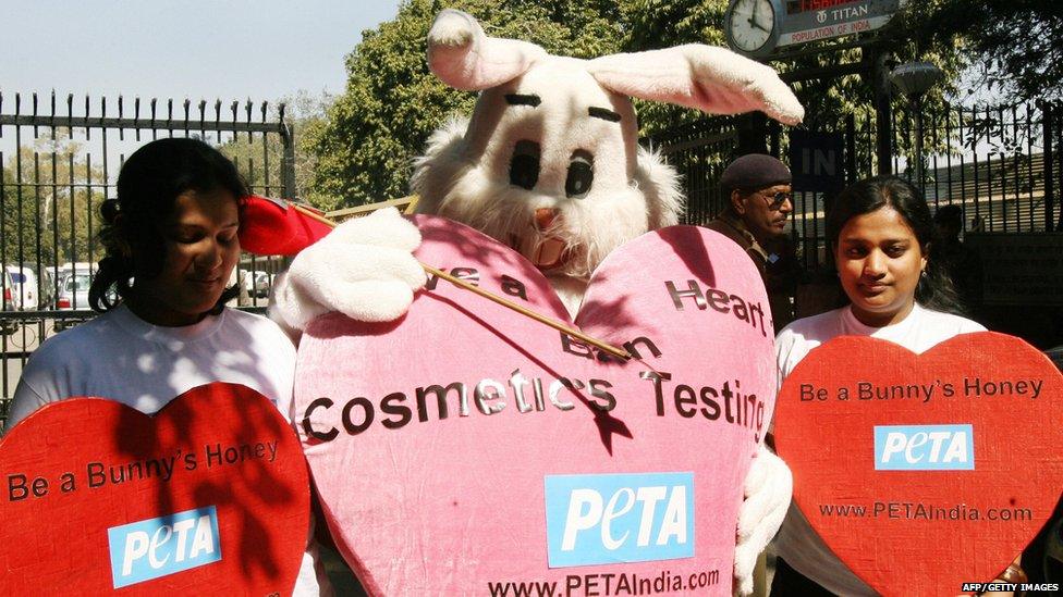 Animal rights protesters