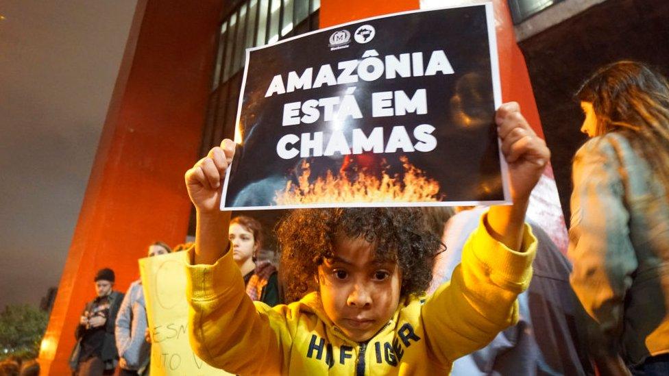 A child holds up a poster reading "The Amazon is in flames" at an environmental protest in Sao Paulo, Brazil, 23 August 2019