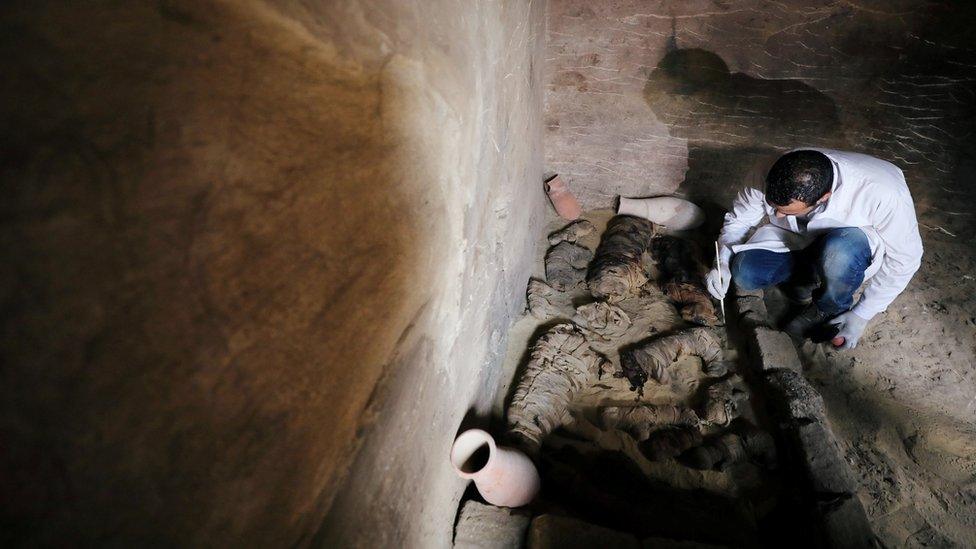 An Egyptian archaeologist works on the mummified cats inside the tomb of Khufu-Imhat, at the Saqqara area near its necropolis, in Giza, Egypt November 10, 2018