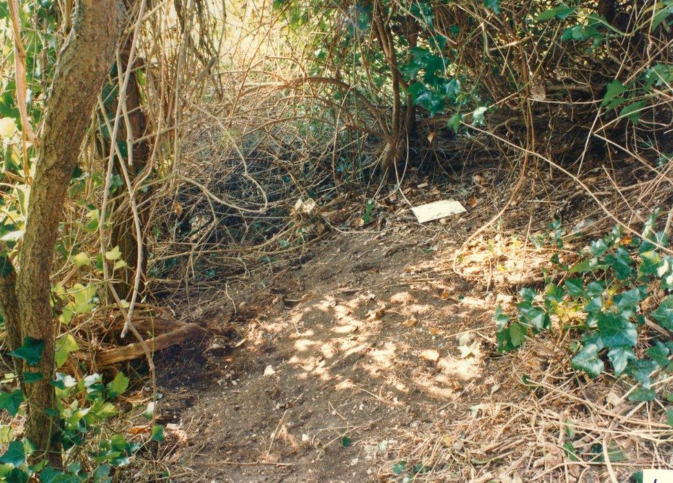 The area where the girls' bodies were found