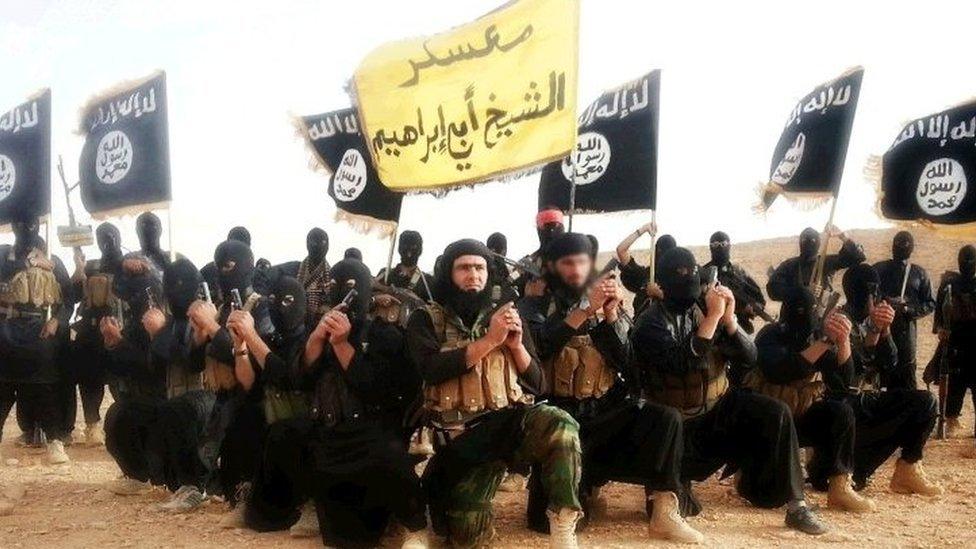 Undated image from June 2014 of ISIS fighters posing for a group portrait, presumably in Syria. The image was originally posted on Twitter.