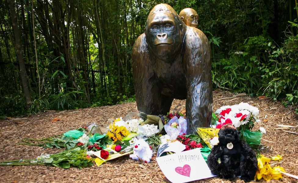 Flowers lay around a bronze statue of a gorilla and her baby outside the Cincinnati Zoo"s Gorilla World exhibit