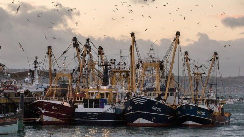 Fishing boats