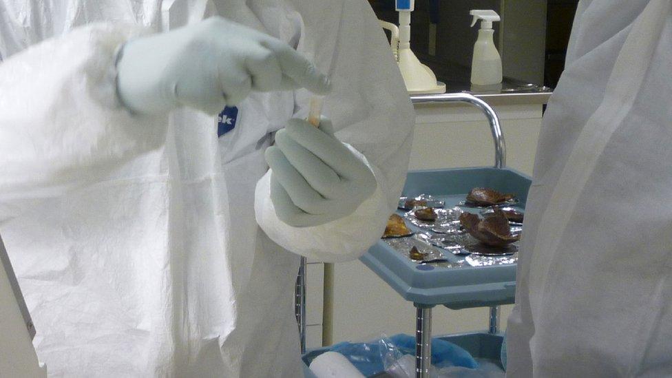 scientists in safety suits in the lab
