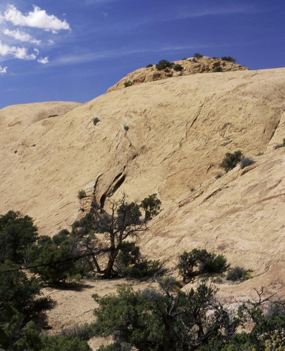 Whale Rock, Utah