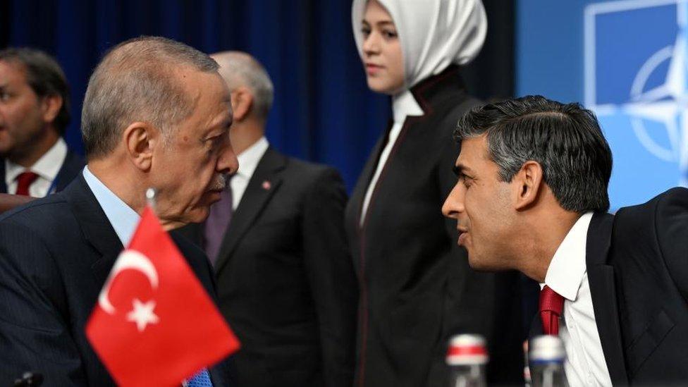 Britain's Prime Minister Rishi Sunak (R) speaks with the President of Turkey Recep Tayyip Erdogan (L) during the meeting of the North Atlantic Council with Sweden at the NATO summit in Vilnius, Lithuania, 11 July 2023.