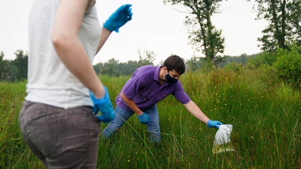 Conservation workers