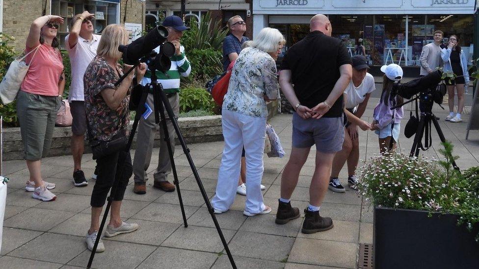 People watching for peregrines