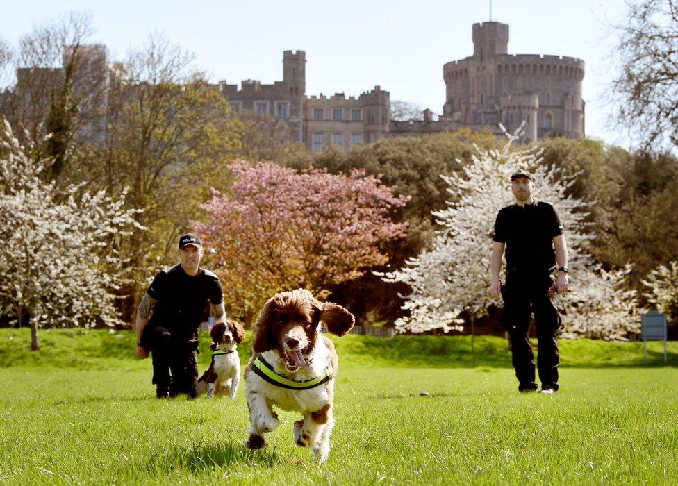 Police dog unit in Windsor