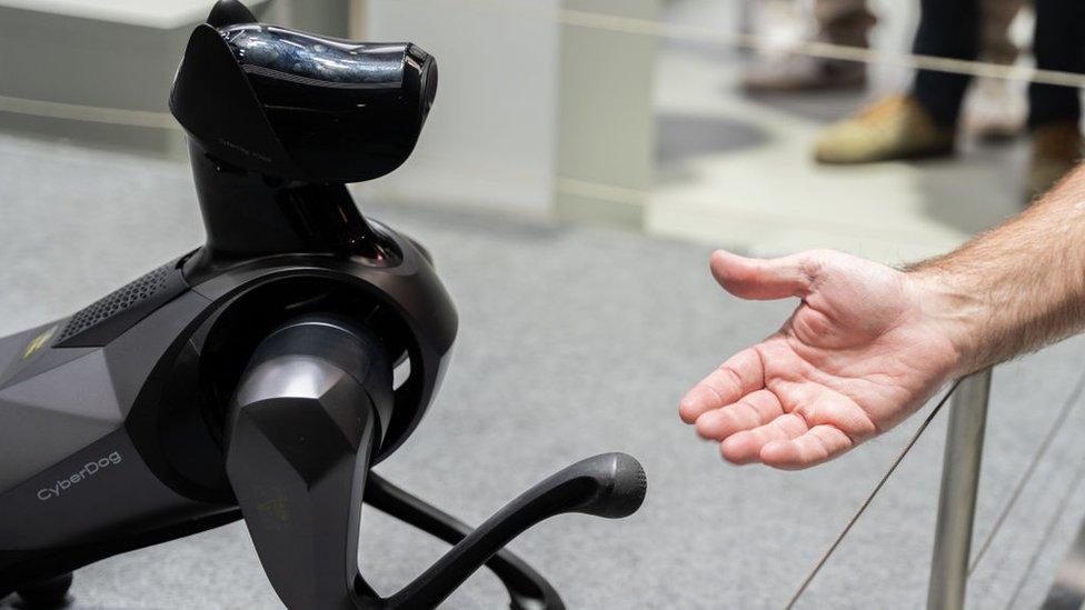 a robot dog holds up a paw to a human hand