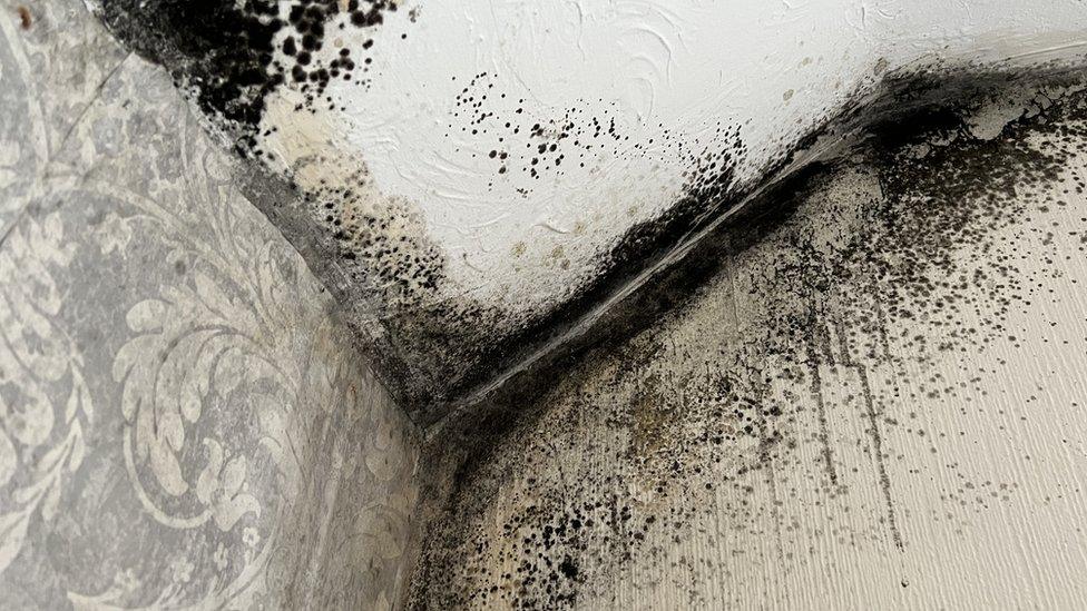 The corner of a bedroom wall with black mould